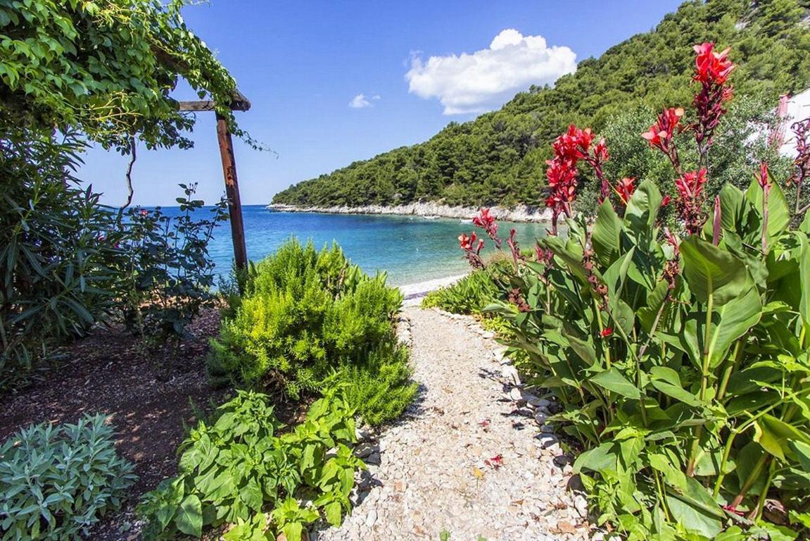 Seaside Secluded Apartments Cove Skozanje, Hvar - 5713 Gdinj Dış mekan fotoğraf